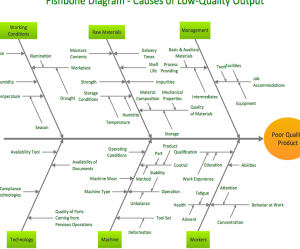 Sample fishbone diagram or cause-and-effect diagram.